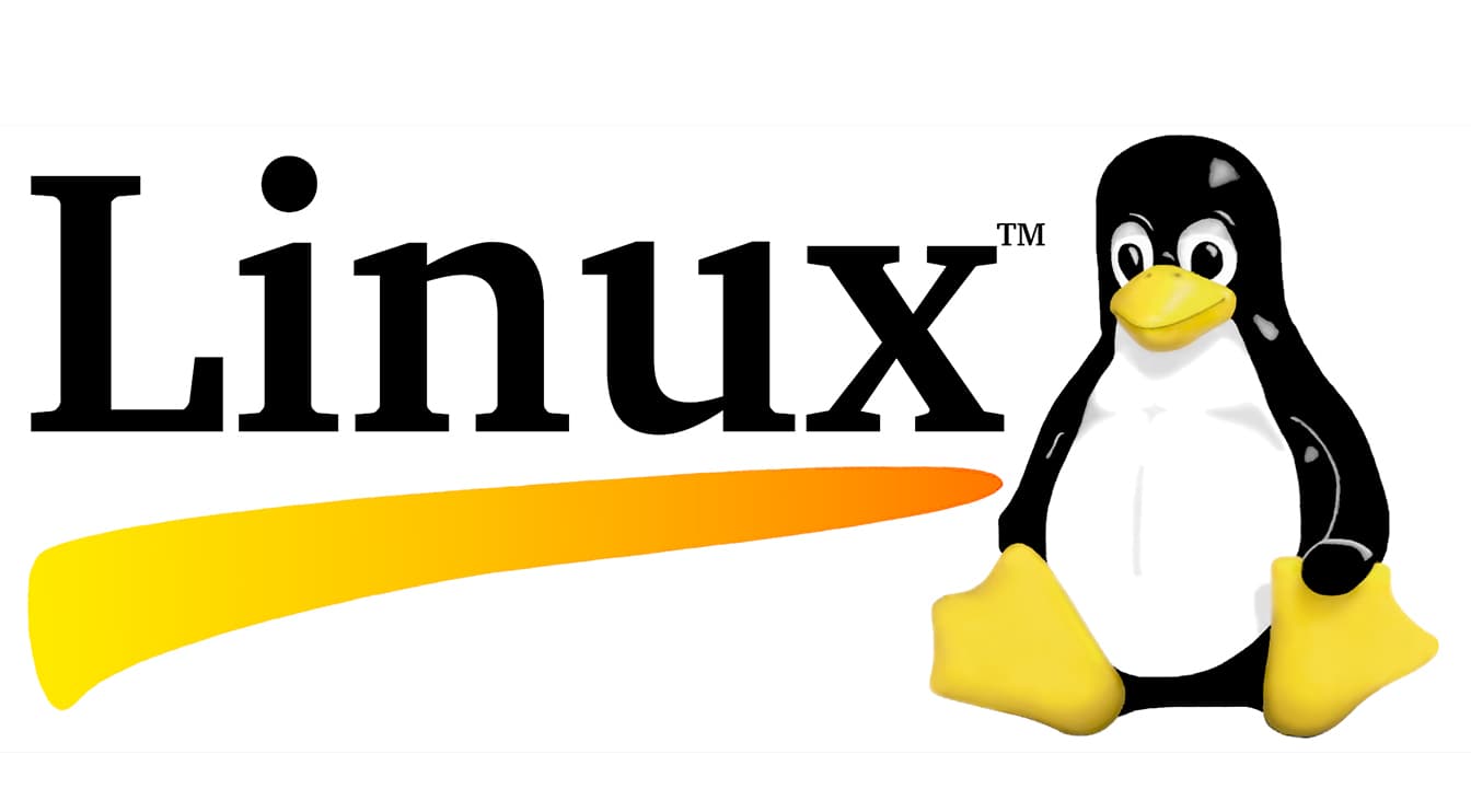 How to Create Multiple Users in Linux?